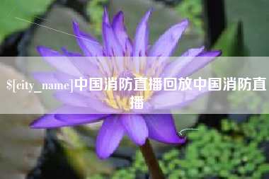 东营中国消防直播回放中国消防直播