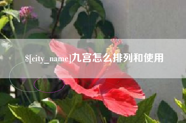 东营九宫怎么排列和使用