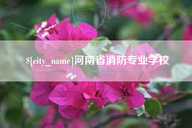 东营河南省消防专业学校