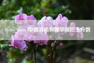 东营中国消防救援学院招生分数