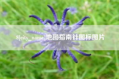 东营地图指南针图标图片