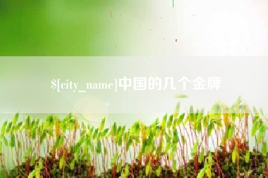 东营中国的几个金牌