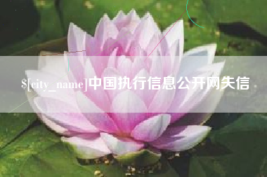 东营中国执行信息公开网失信