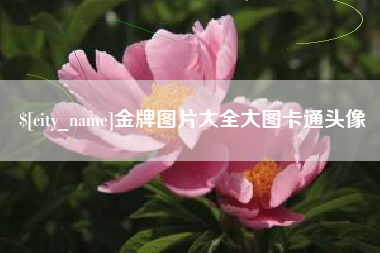 东营金牌图片大全大图卡通头像