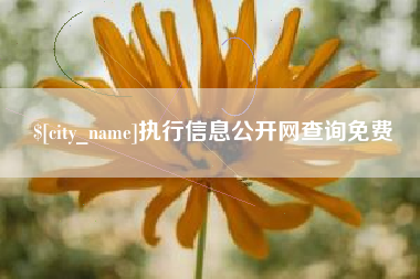 东营执行信息公开网查询免费