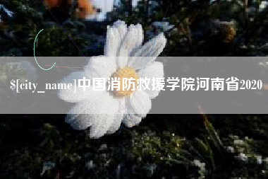 东营中国消防救援学院河南省2020